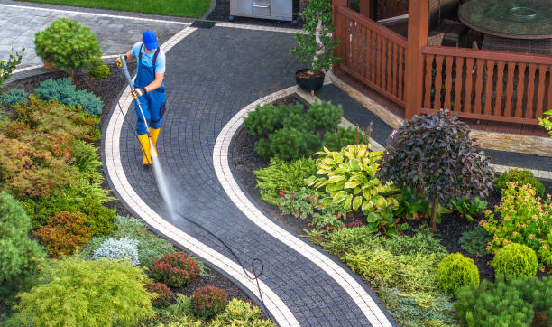 Best Local Pressure Washing Services  in Rosedale, WA