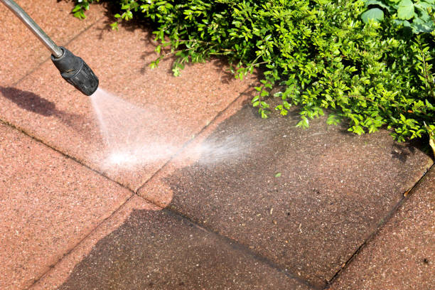 Best Deck Cleaning Services  in Rosedale, WA