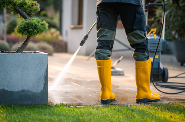 Best Best Pressure Washing Companies  in Rosedale, WA